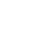 Professional icon